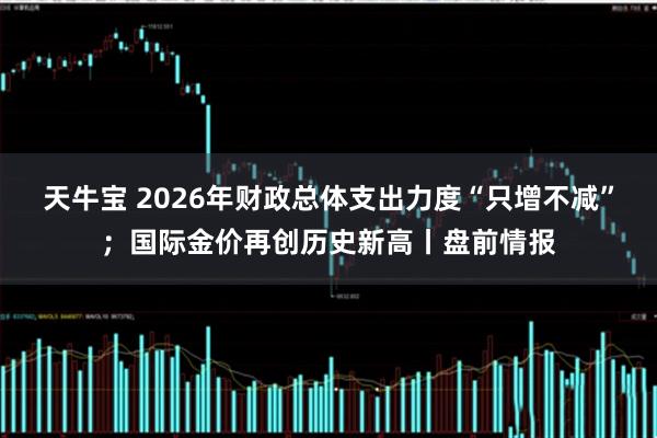 天牛宝 2026年财政总体支出力度“只增不减”；国际金价再创历史新高丨盘前情报