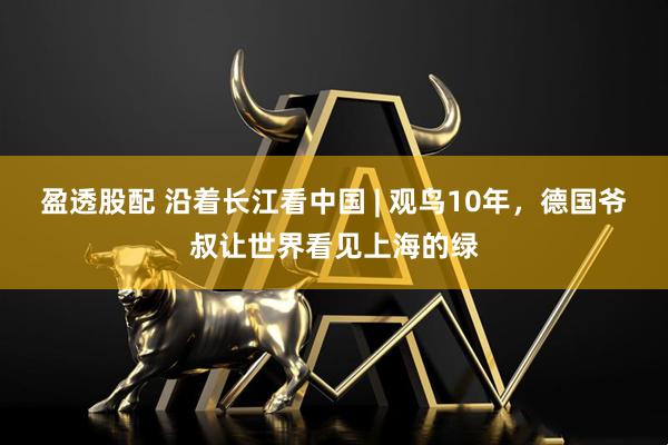 盈透股配 沿着长江看中国 | 观鸟10年，德国爷叔让世界看见上海的绿